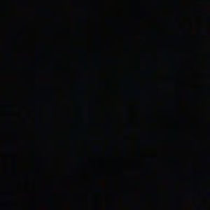 Meet your Posher, Donald